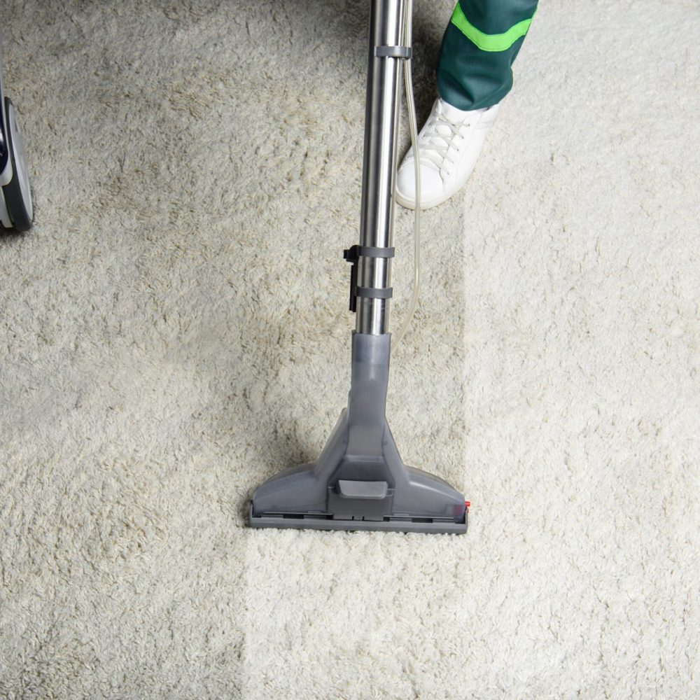 high angle view of person cleaning white carpet with professional vacuum cleaner